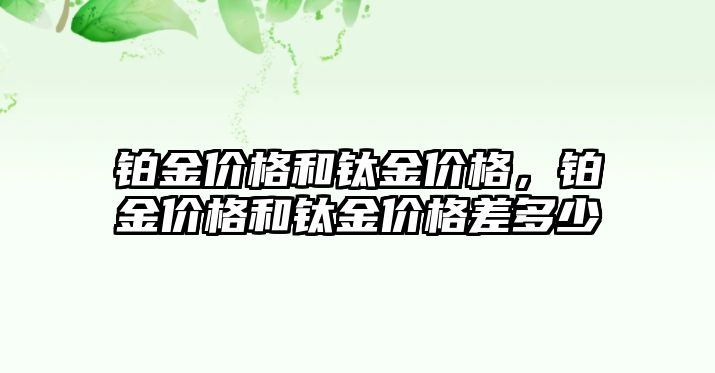 鉑金價格和鈦金價格，鉑金價格和鈦金價格差多少