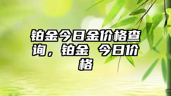 鉑金今日金價格查詢，鉑金 今日價格