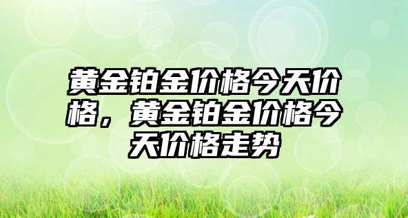 黃金鉑金價格今天價格，黃金鉑金價格今天價格走勢