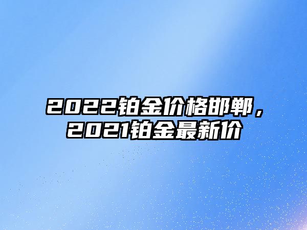 2022鉑金價格邯鄲，2021鉑金最新價