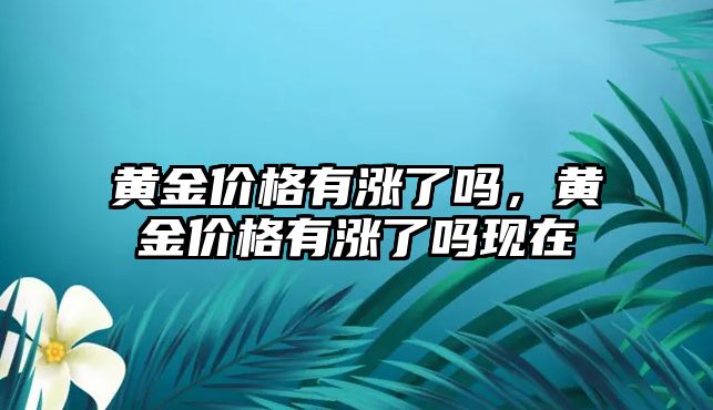 黃金價(jià)格有漲了嗎，黃金價(jià)格有漲了嗎現(xiàn)在