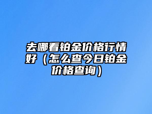 去哪看鉑金價格行情好（怎么查今日鉑金價格查詢）