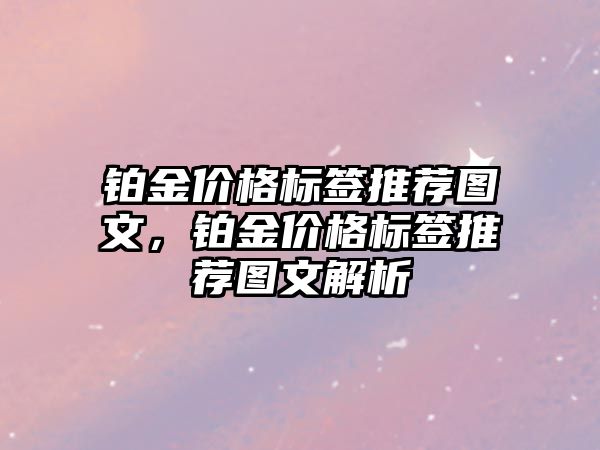 鉑金價格標簽推薦圖文，鉑金價格標簽推薦圖文解析