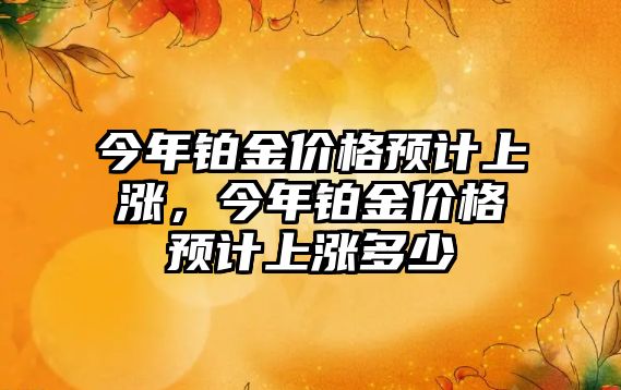 今年鉑金價格預計上漲，今年鉑金價格預計上漲多少