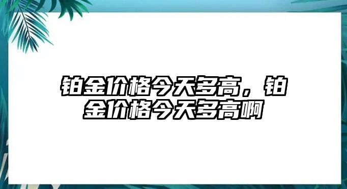 鉑金價(jià)格今天多高，鉑金價(jià)格今天多高啊