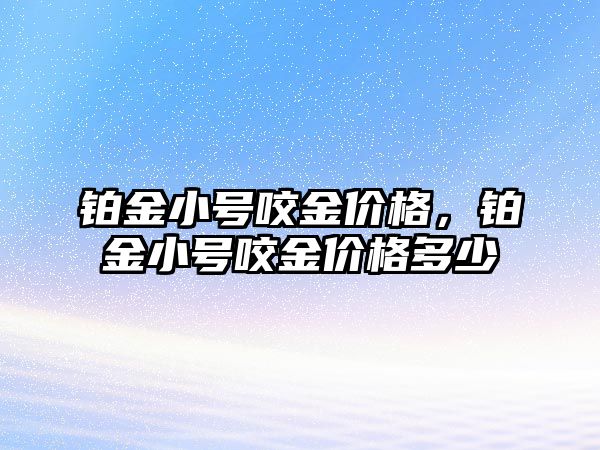 鉑金小號咬金價格，鉑金小號咬金價格多少