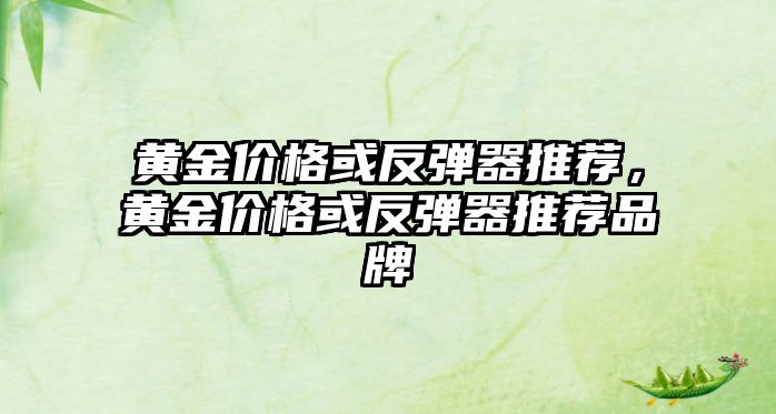 黃金價格或反彈器推薦，黃金價格或反彈器推薦品牌