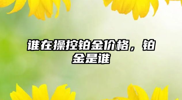 誰在操控鉑金價(jià)格，鉑金是誰