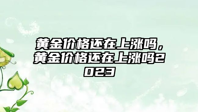 黃金價格還在上漲嗎，黃金價格還在上漲嗎2023