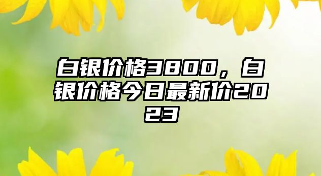 白銀價(jià)格3800，白銀價(jià)格今日最新價(jià)2023