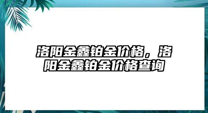 洛陽金鑫鉑金價格，洛陽金鑫鉑金價格查詢