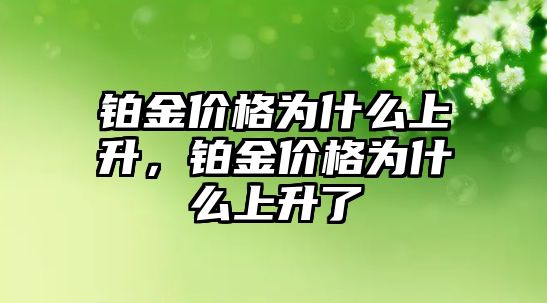 鉑金價(jià)格為什么上升，鉑金價(jià)格為什么上升了