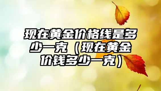 現(xiàn)在黃金價格線是多少一克（現(xiàn)在黃金價錢多少一克）