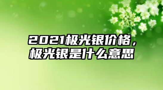 2021極光銀價(jià)格，極光銀是什么意思