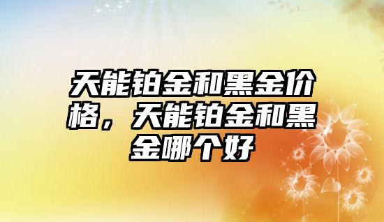 天能鉑金和黑金價(jià)格，天能鉑金和黑金哪個(gè)好