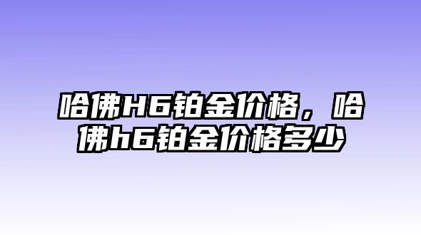 哈佛H6鉑金價(jià)格，哈佛h6鉑金價(jià)格多少