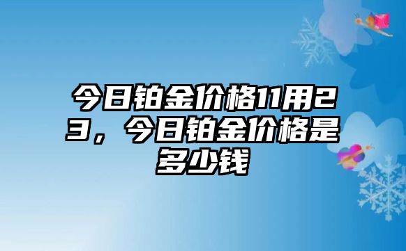 今日鉑金價(jià)格11用23，今日鉑金價(jià)格是多少錢(qián)