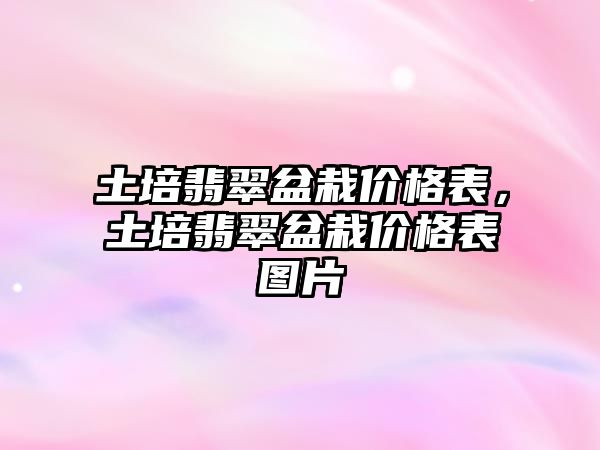 土培翡翠盆栽價格表，土培翡翠盆栽價格表圖片